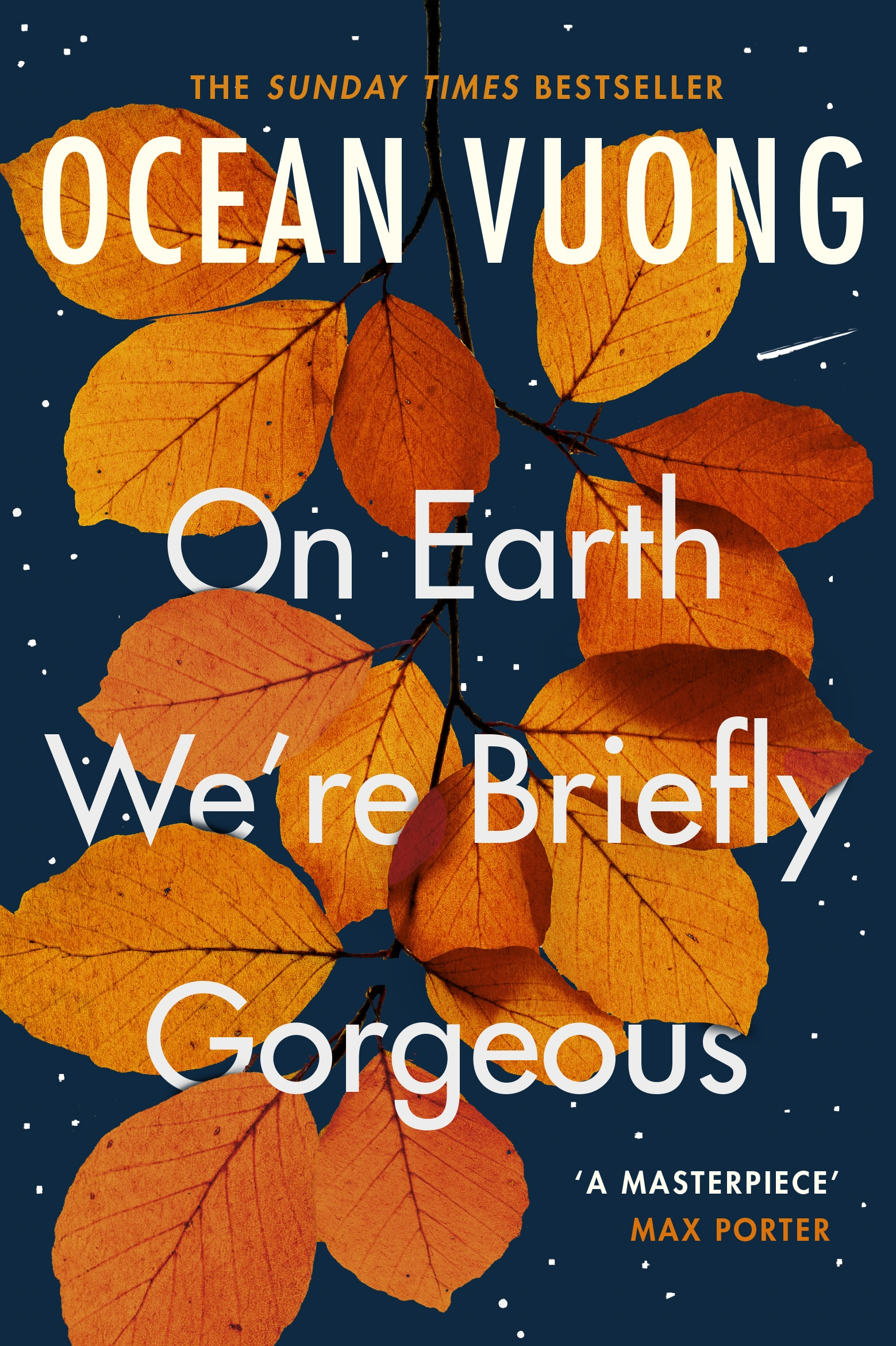 On Earth we're Briefly Gorgeous